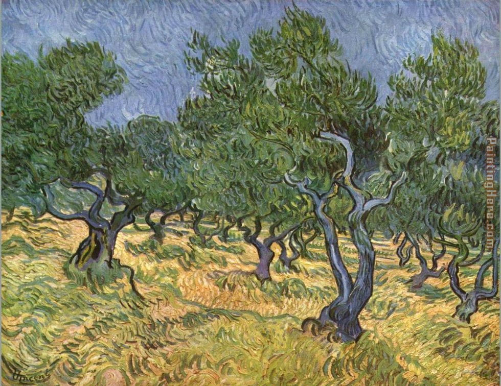 Olive grove I painting - Vincent van Gogh Olive grove I art painting